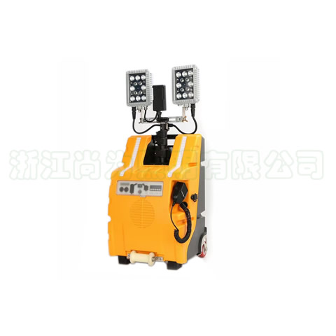 SZSW2980�๦���Ƅ�(d��ng)����ϵ�y(t��ng)